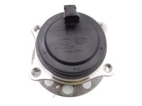 OEM Kia Rear Wheel Hub Assembly - 52750C5000