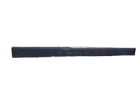 OEM 2007 Kia Rio MOULDING Assembly-Front Door - 877211G010