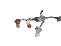 OEM 2006 Kia Sorento Bulb Holder & Wiring Assembly - 924193E030