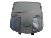 OEM Kia Lamp Assembly-Overhead Console - 92800F2010BF3