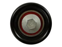 OEM Kia Idler Assembly - 252863F300
