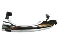 OEM Kia Sorento Door Outside Handle Assembly, Left - 82651C5710