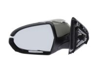 OEM 2020 Kia Niro Outside Rear View Mirror Assembly, Left - 87610G5350