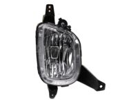 OEM Kia Front Fog Lamp Assembly, Right - 92202A9010