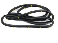 OEM 2019 Kia Sorento WEATHERSTRIP Assembly-Front Door Side - 82140C5000