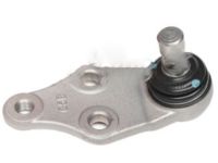 OEM Kia Ball Joint Assembly-Lower - 54530C5100