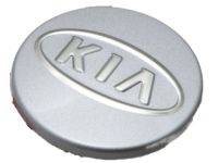 OEM Kia Soul Wheel Center Caps - 529601F610