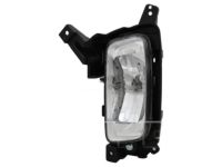 OEM Kia Sorento Front Fog Lamp Assembly, Left - 922011U500