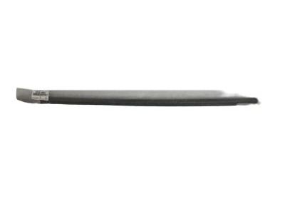 Toyota 75720-60061 Belt Weatherstrip