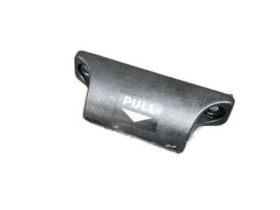 Lexus 74649-30010 Grip, Luggage Compartment Door Assist