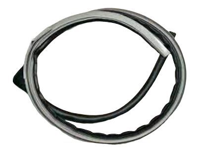 Toyota 62311-60020-A0 Weatherstrip, Front Door Opening Trim, RH