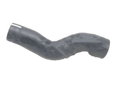 Toyota 16573-66010 Lower Hose