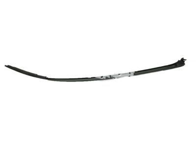 Toyota 75533-60082 Side Molding