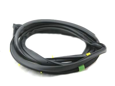 Toyota 67862-60101 Door Weatherstrip