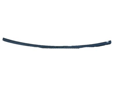 Lexus PT738-48160 Rear Bumper Protector-Black
