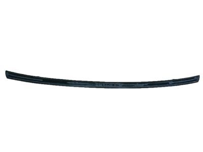 Lexus PT738-48160 Rear Bumper Protector-Black