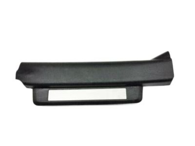 Lexus 67940-53041-C0 Plate Assembly, Rear Door