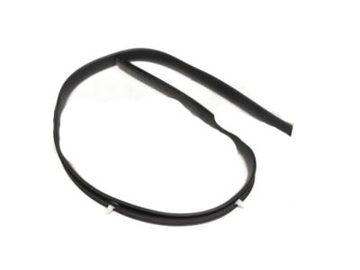 Lexus 67863-60030 WEATHERSTRIP, Front Door