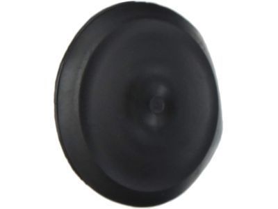 Toyota 48684-0R010 Dust Cap