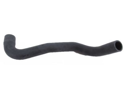 Toyota 16572-50150 Lower Hose