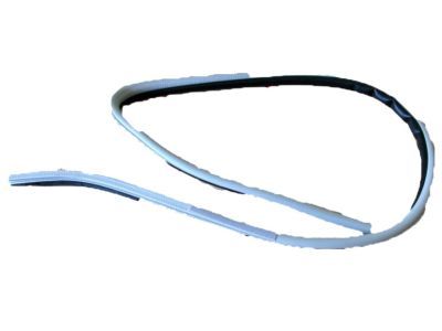 Lexus 62312-60020-A0 Weatherstrip, Front Door Opening Trim, LH