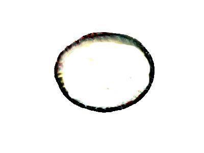 Toyota 90301-79006 Filter Cover Seal