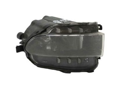 Lexus 81211-30312 Lens & Body