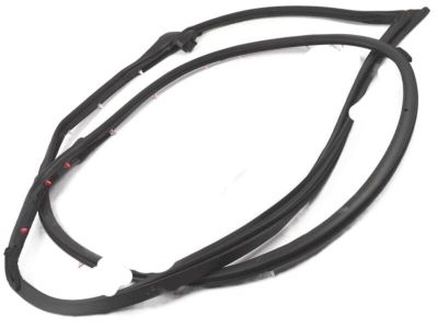 Toyota 67862-60150 Door Weatherstrip