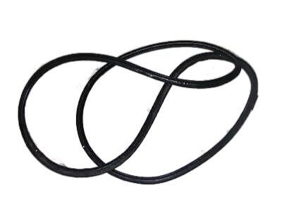 Lexus 62311-24020 Weatherstrip, Front Door Opening Trim, RH