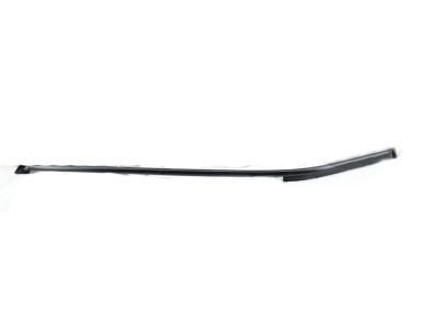 Toyota 75533-60031 Drip Molding