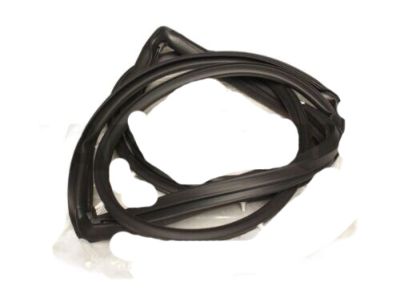 Toyota 67872-60043 Door Weatherstrip