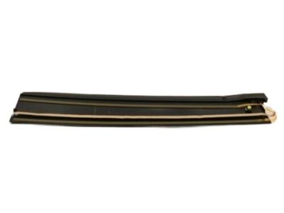 Lexus 75761-76010 MOULDING, Rear Door Window Frame