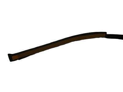 Toyota 75534-60021 Drip Molding