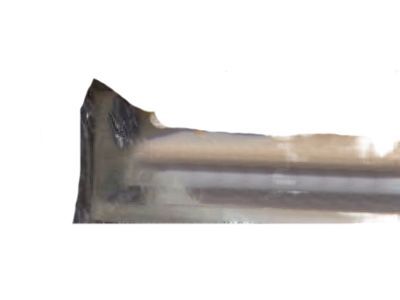 Toyota 75552-60020 Drip Molding