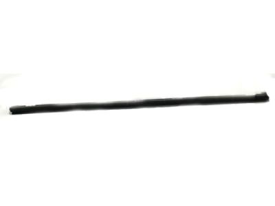 Lexus 68171-48032 Weatherstrip, Front Door Glass, Inner RH