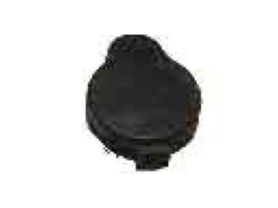 Lexus 85316-06020 Cap, Washer, A