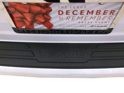 Lexus PT738-48090 Rear Bumper Protector, Black