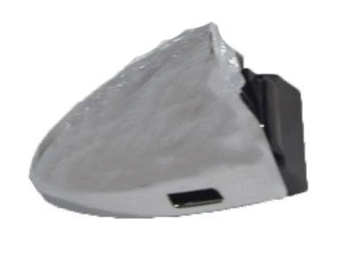 Lexus 69217-33040 Cover, Front Door Outside Handle, RH