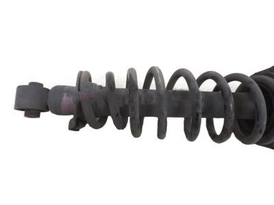 Lexus 48231-53030 Spring, Coil, Rear