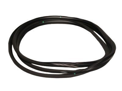 Toyota 63251-30100 Glass Weatherstrip