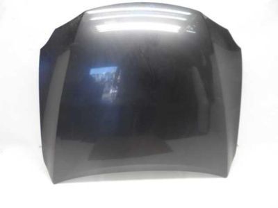 Lexus 53301-53050 Hood Sub-Assembly