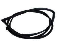 OEM 2000 Lexus GS400 Weatherstrip, Front Door, LH - 67862-30251