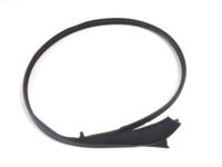 OEM 2015 Lexus LS460 Weatherstrip, Front Door, Upper RH - 67863-50040