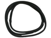 OEM Lexus IS250 WEATHERSTRIP, SLIDIN - 63251-53061