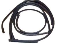 OEM Lexus ES330 Weatherstrip, Front Door, LH - 67862-33050