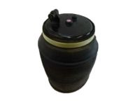 OEM 2020 Lexus GX460 Cylinder Assembly, Pneumatic - 48080-60020