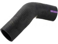 OEM Lexus Hose, Radiator - 16571-31170