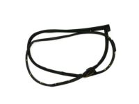 OEM 2016 Lexus GS200t WEATHERSTRIP, Front Door - 67862-30310