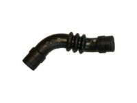 OEM 1999 Lexus GS300 Hose, Fuel Tank To Filler Pipe - 77213-30160