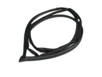 OEM 1997 Lexus LX450 Weatherstrip, Front Door, RH - 67861-60073